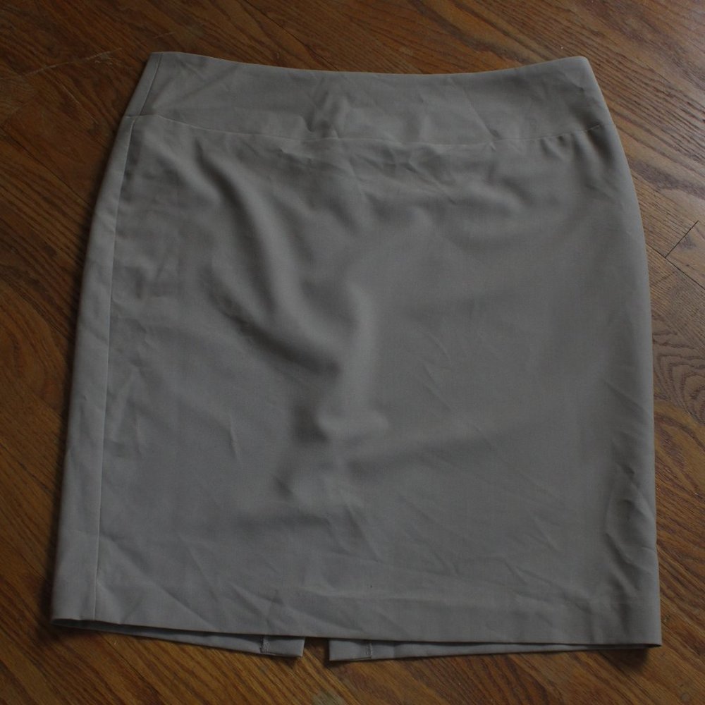 Ellen Tracy Pencil Skirt